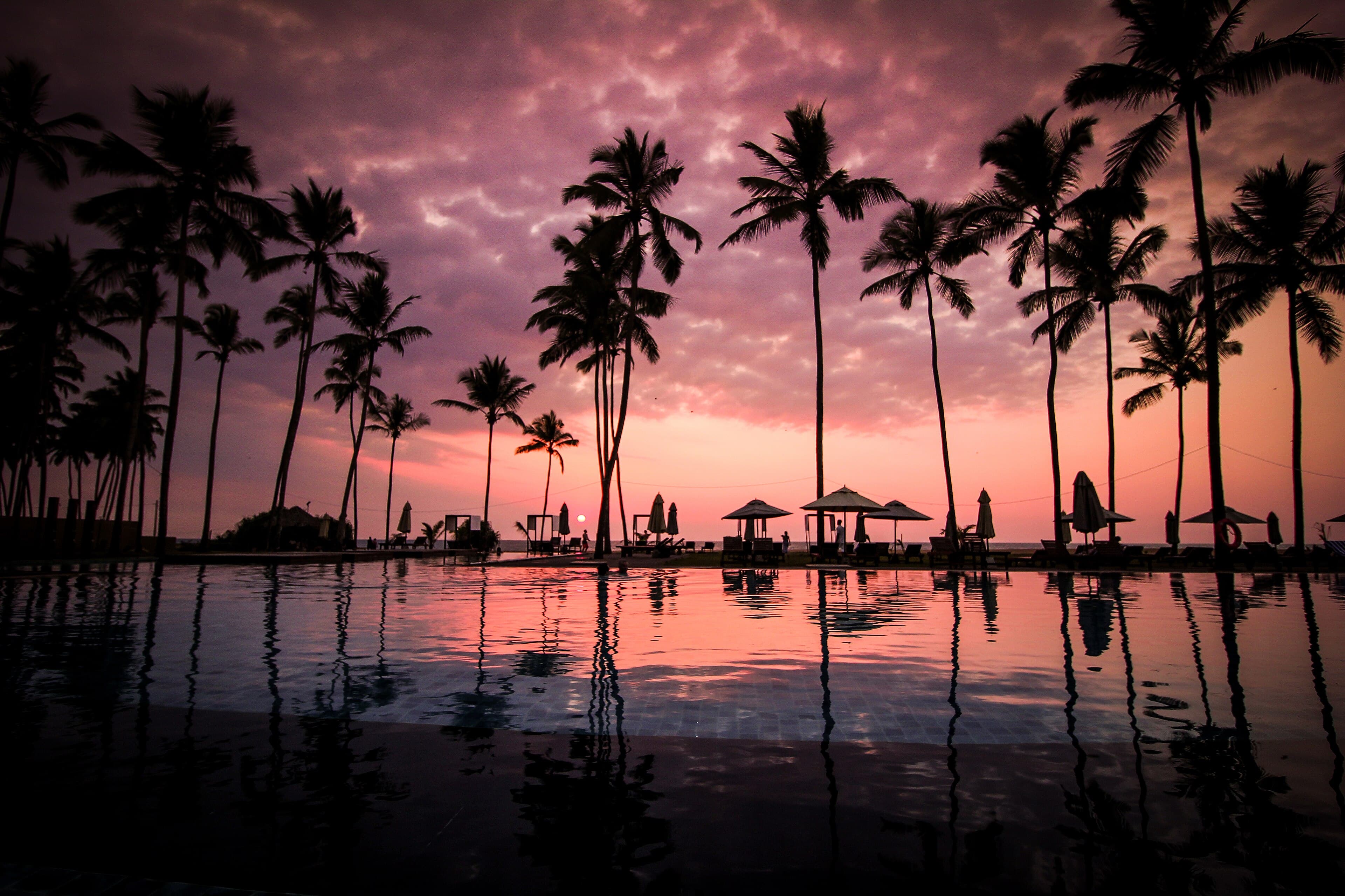 Sunset over the pool and palm trees